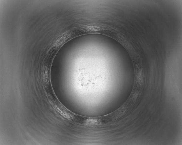 X0000086250418200703291412