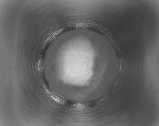 X0000086250419200703291412