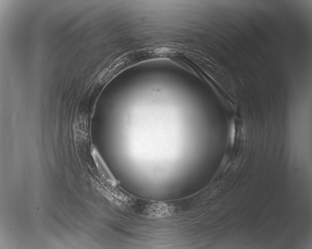 X0000086250421200703291412