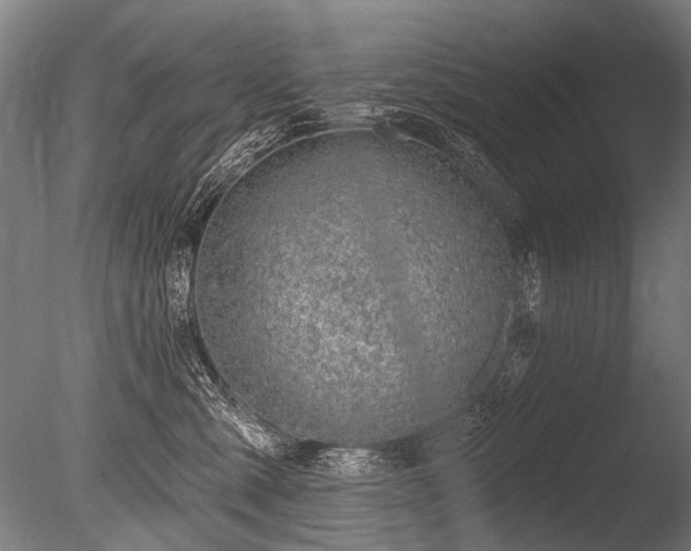 X0000086250427200703291412
