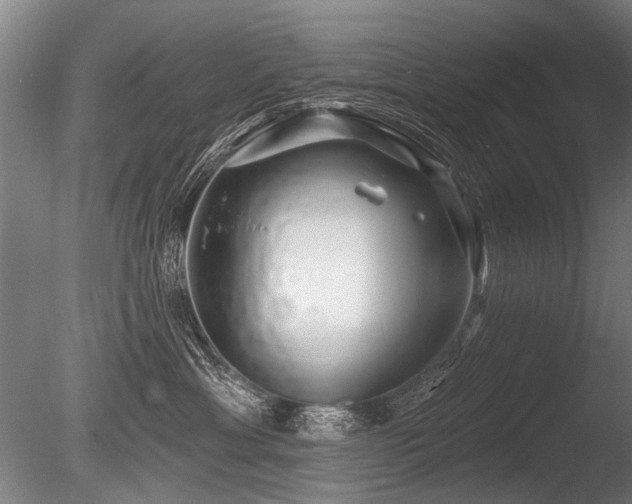 X0000086250429200703291412