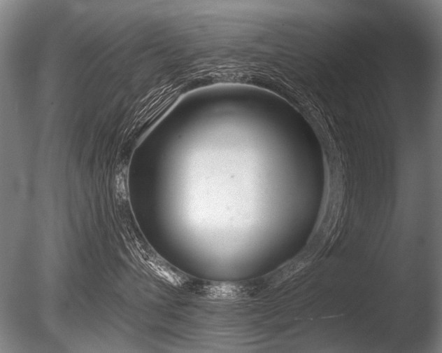 X0000086250432200703291411