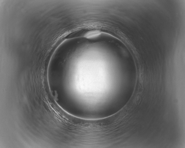 X0000086250434200703291411