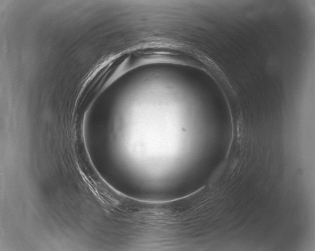 X0000086250436200703291411