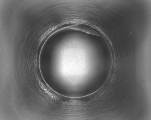 X0000086250437200703291411