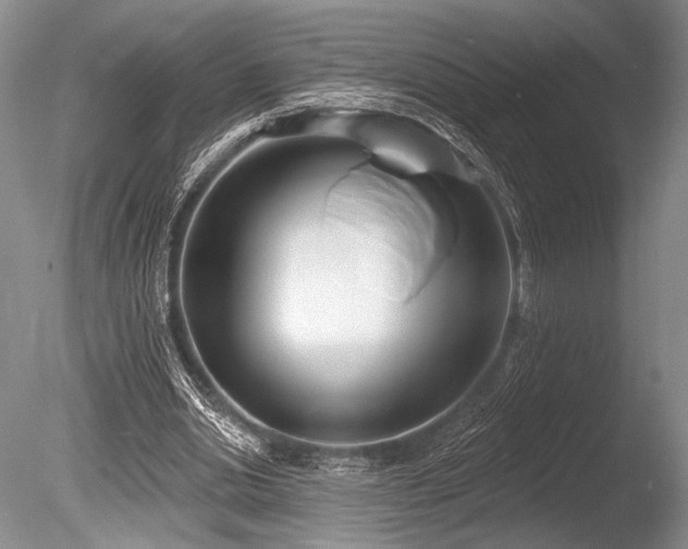 X0000086250438200703291411