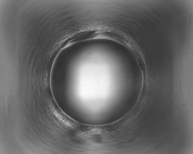 X0000086250441200703291411