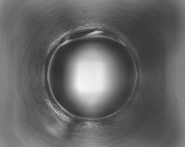 X0000086250442200703291411