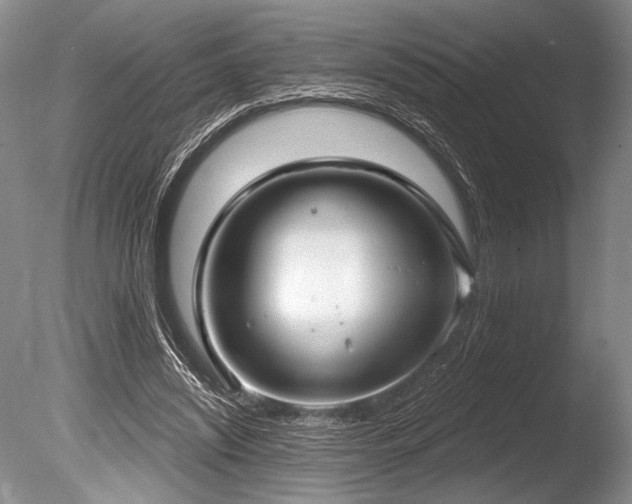 X0000086250444200703291411