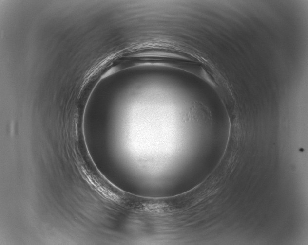X0000086250446200703291411