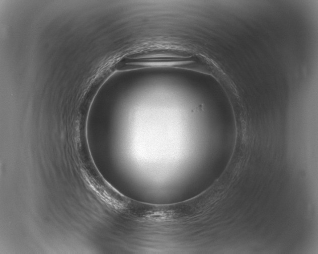 X0000086250447200703291411