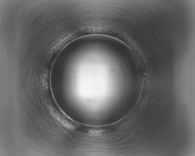X0000086250450200703291411
