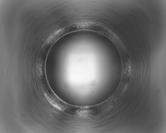 X0000086250452200703291411