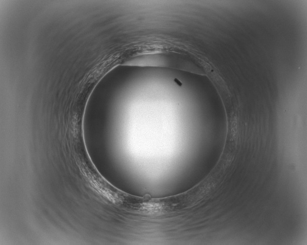 X0000086250457200703291411