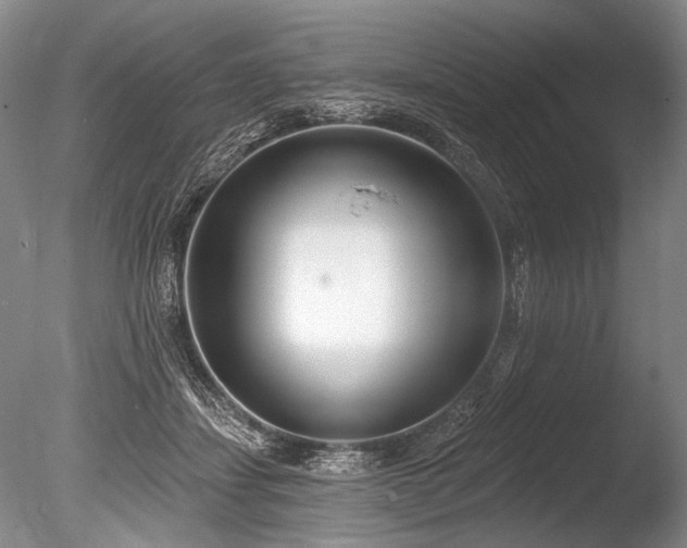 X0000086250459200703291411