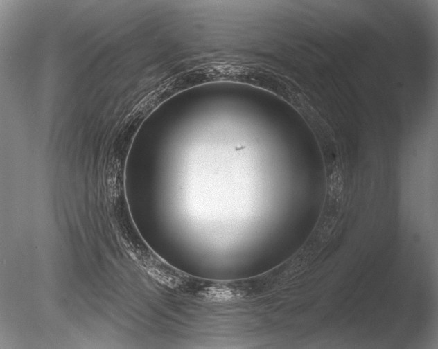 X0000086250464200703291411