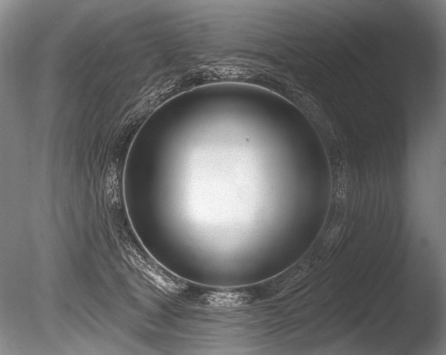 X0000086250465200703291411