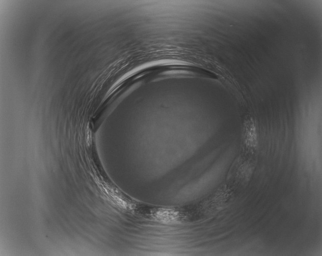 X0000086250471200703291411