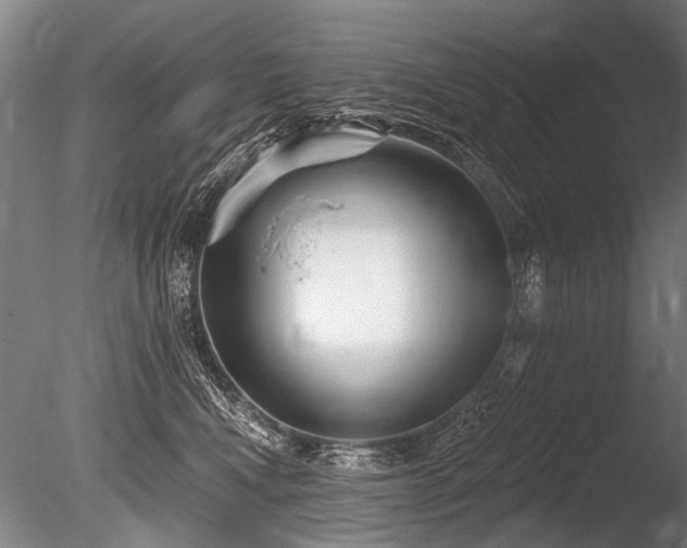 X0000086250472200703291411