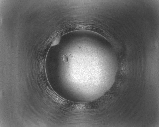 X0000086250473200703291411