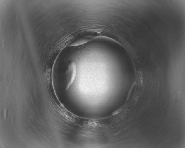 X0000086250475200703291411