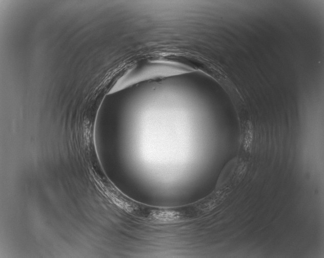X0000086250476200703291411