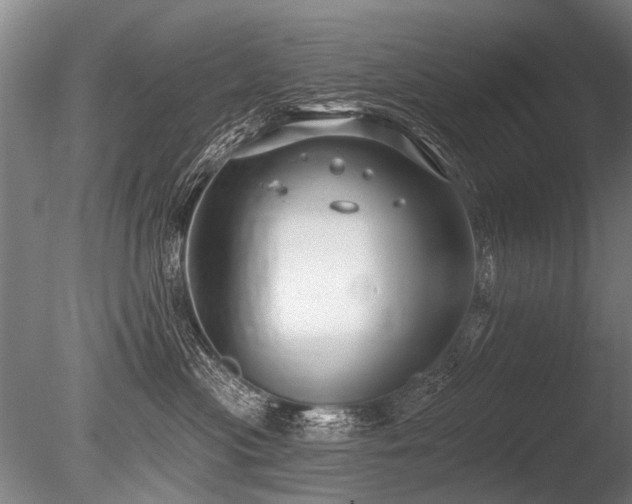 X0000086250477200703291411