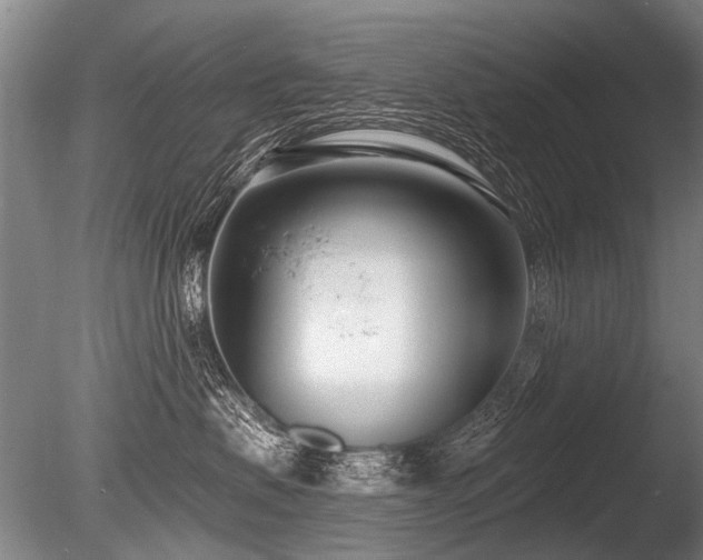 X0000086250479200703291411
