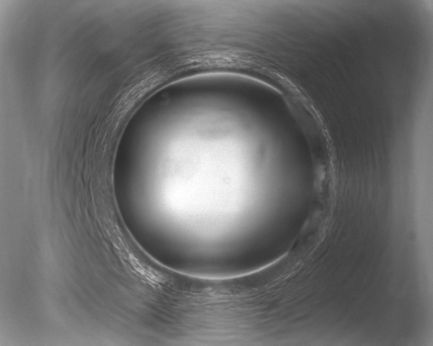 X0000086250481200703291411