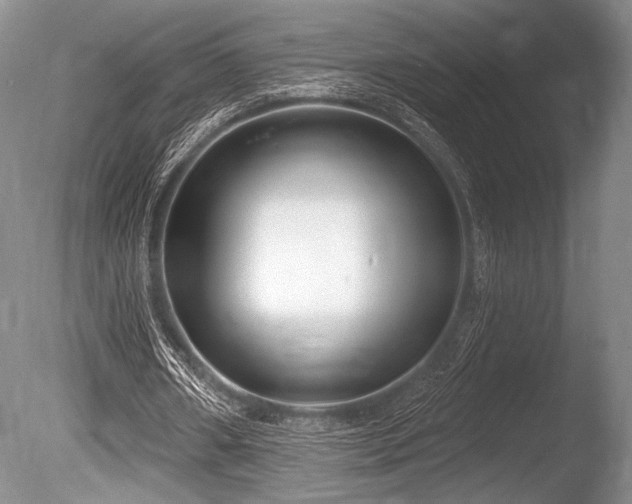 X0000086250482200703291411