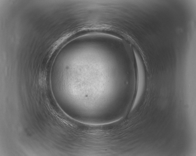 X0000086250483200703291411