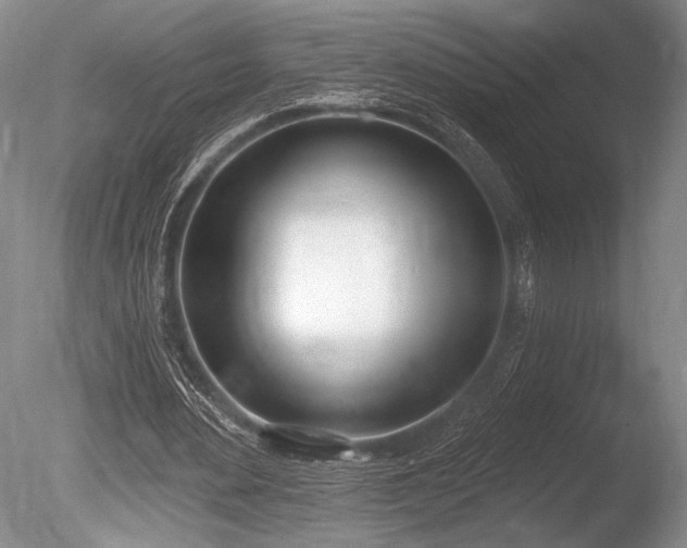 X0000086250484200703291411