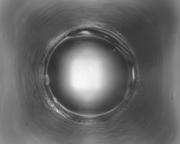 X0000086250485200703291411