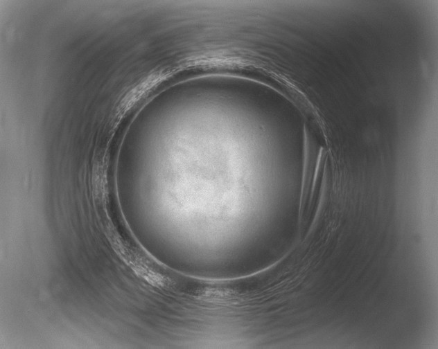 X0000086250487200703291411