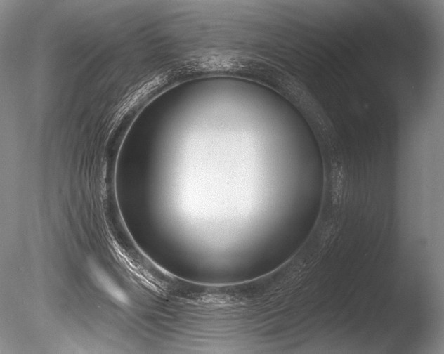 X0000086250490200703291410