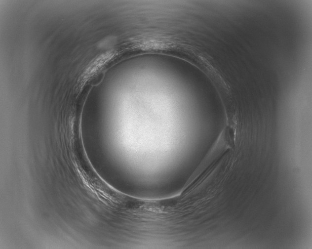 X0000086250491200703291410