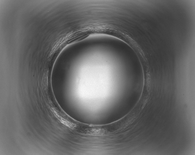 X0000086250493200703291410