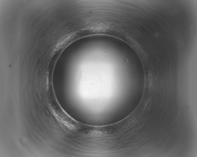 X0000086250494200703291410