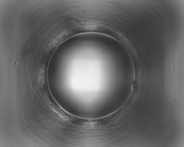 X0000086250497200703291410