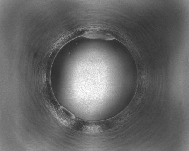 X0000086250500200703291410