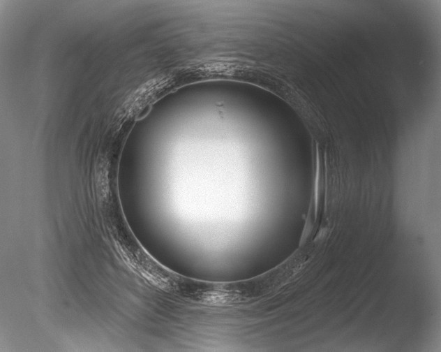 X0000086250504200703291410