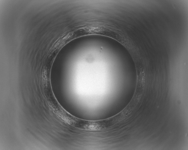 X0000086250506200703291410