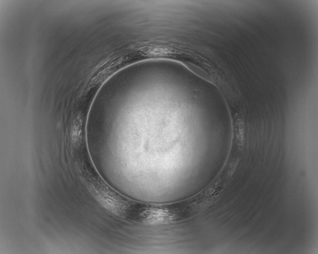 X0000086250507200703291410