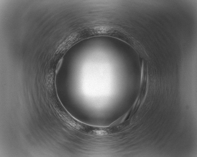 X0000086250509200703291410