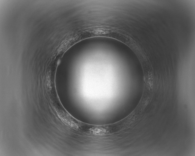 X0000086250512200703291410