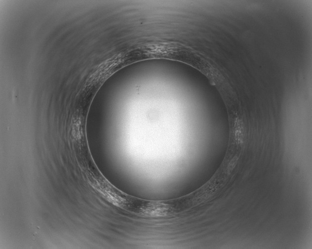 X0000086250514200703291410