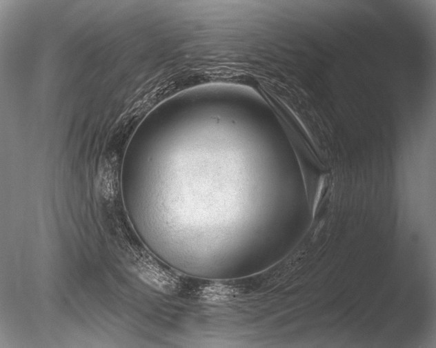 X0000086250515200703291410