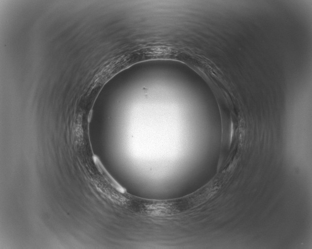 X0000086250516200703291410