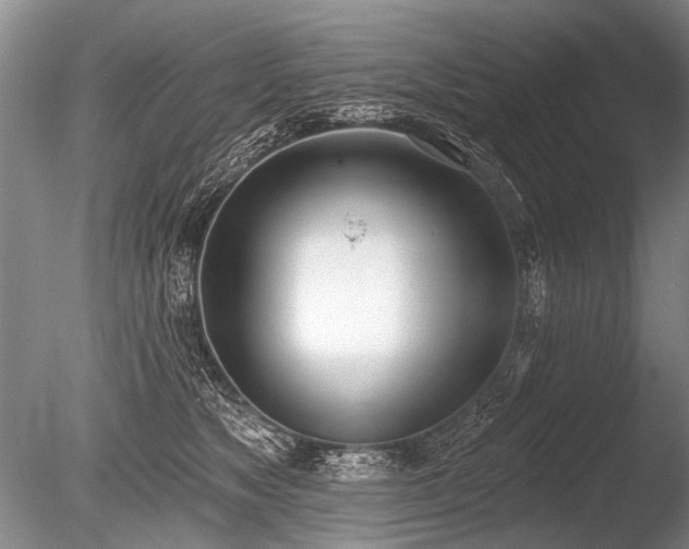 X0000086250517200703291410