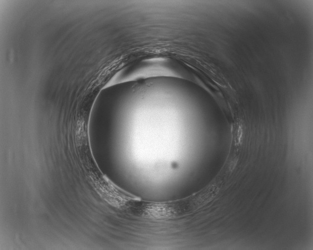 X0000086250521200703291410
